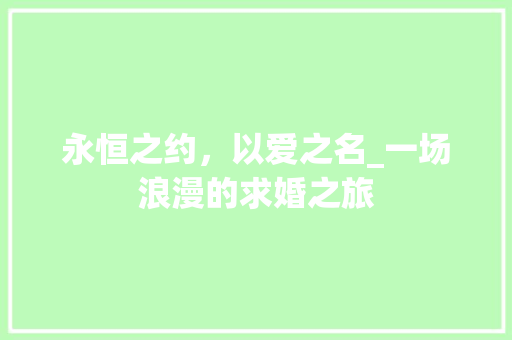 永恒之约，以爱之名_一场浪漫的求婚之旅 永恒之约，以爱之名_一场浪漫的求婚之旅 网站建设公司