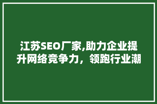 江苏SEO厂家,助力企业提升网络竞争力，领跑行业潮流 江苏SEO厂家,助力企业提升网络竞争力，领跑行业潮流 百度SEO