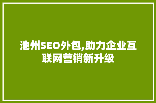 池州SEO外包,助力企业互联网营销新升级