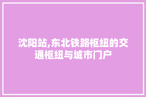 沈阳站,东北铁路枢纽的交通枢纽与城市门户 沈阳站,东北铁路枢纽的交通枢纽与城市门户 必应SEO