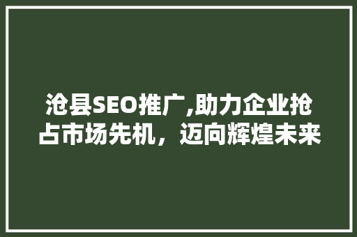 沧县SEO推广,助力企业抢占市场先机，迈向辉煌未来