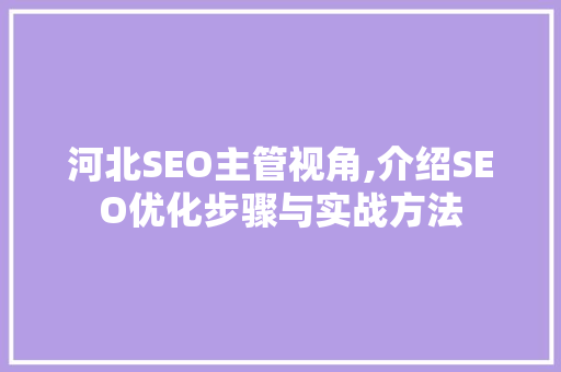 河北SEO主管视角,介绍SEO优化步骤与实战方法 河北SEO主管视角,介绍SEO优化步骤与实战方法 必应SEO
