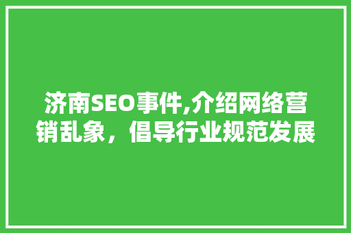 济南SEO事件,介绍网络营销乱象，倡导行业规范发展