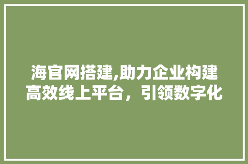 海官网搭建,助力企业构建高效线上平台，引领数字化发展新趋势 海官网搭建,助力企业构建高效线上平台，引领数字化发展新趋势 百度SEO