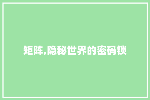 矩阵,隐秘世界的密码锁 矩阵,隐秘世界的密码锁 必应SEO