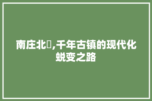 南庄北滘,千年古镇的现代化蜕变之路