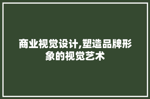 商业视觉设计,塑造品牌形象的视觉艺术