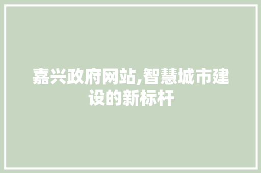 嘉兴政府网站,智慧城市建设的新标杆