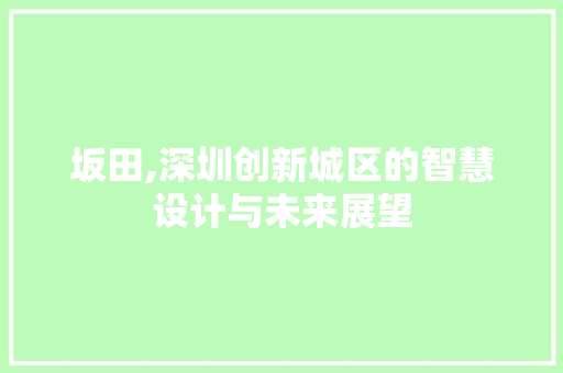 坂田,深圳创新城区的智慧设计与未来展望 坂田,深圳创新城区的智慧设计与未来展望 神马SEO