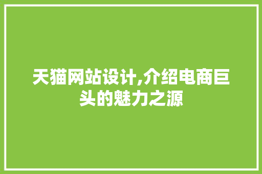 天猫网站设计,介绍电商巨头的魅力之源