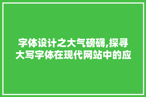 字体设计之大气磅礴,探寻大写字体在现代网站中的应用魅力 字体设计之大气磅礴,探寻大写字体在现代网站中的应用魅力 神马SEO