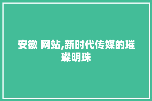 安徽 网站,新时代传媒的璀璨明珠 安徽 网站,新时代传媒的璀璨明珠 百度SEO
