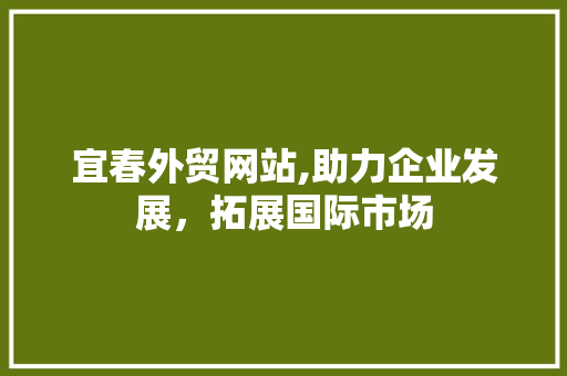 宜春外贸网站,助力企业发展，拓展国际市场 宜春外贸网站,助力企业发展，拓展国际市场 网站建设公司