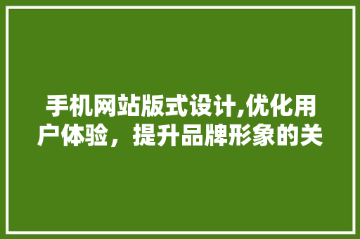 手机网站版式设计,优化用户体验，提升品牌形象的关键步骤 手机网站版式设计,优化用户体验，提升品牌形象的关键步骤 搜狗SEO
