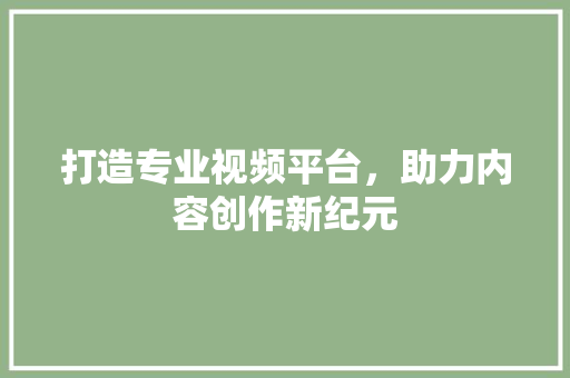 打造专业视频平台，助力内容创作新纪元 打造专业视频平台，助力内容创作新纪元 神马SEO