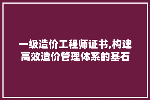 一级造价工程师证书,构建高效造价管理体系的基石 一级造价工程师证书,构建高效造价管理体系的基石 神马SEO