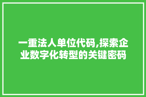 一重法人单位代码,探索企业数字化转型的关键密码 一重法人单位代码,探索企业数字化转型的关键密码 搜狗SEO