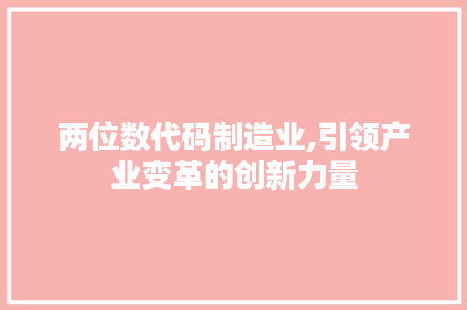 两位数代码制造业,引领产业变革的创新力量 两位数代码制造业,引领产业变革的创新力量 网站建设公司