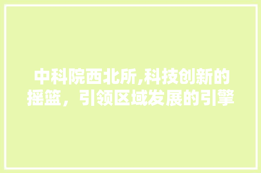 中科院西北所,科技创新的摇篮，引领区域发展的引擎 中科院西北所,科技创新的摇篮，引领区域发展的引擎 网站建设公司