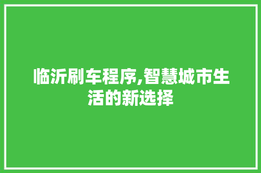 临沂刷车程序,智慧城市生活的新选择 临沂刷车程序,智慧城市生活的新选择 网站建设公司