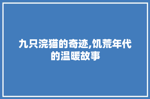 九只浣猫的奇迹,饥荒年代的温暖故事 九只浣猫的奇迹,饥荒年代的温暖故事 百度SEO