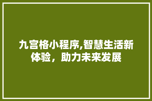九宫格小程序,智慧生活新体验，助力未来发展 九宫格小程序,智慧生活新体验，助力未来发展 SEO关键词