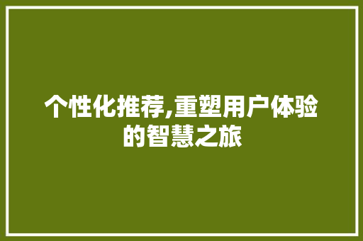 个性化推荐,重塑用户体验的智慧之旅 个性化推荐,重塑用户体验的智慧之旅 神马SEO