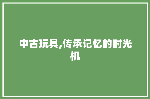 中古玩具,传承记忆的时光机 中古玩具,传承记忆的时光机 SEO关键词
