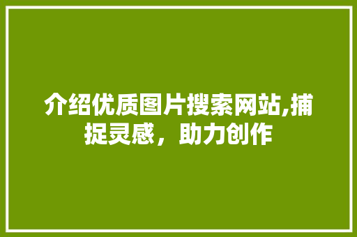 介绍优质图片搜索网站,捕捉灵感，助力创作 介绍优质图片搜索网站,捕捉灵感，助力创作 神马SEO