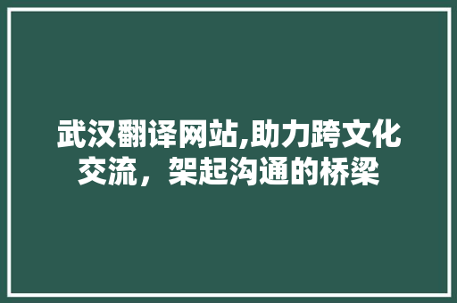 武汉翻译网站,助力跨文化交流，架起沟通的桥梁 武汉翻译网站,助力跨文化交流，架起沟通的桥梁 搜狗SEO