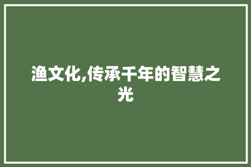 渔文化,传承千年的智慧之光 渔文化,传承千年的智慧之光 百度SEO