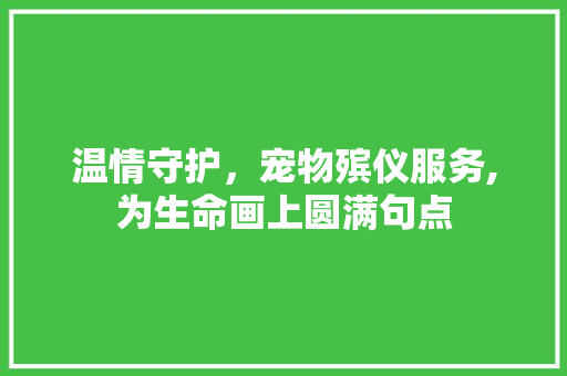 温情守护，宠物殡仪服务,为生命画上圆满句点 温情守护，宠物殡仪服务,为生命画上圆满句点 网站建设公司