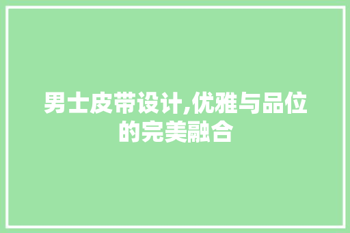男士皮带设计,优雅与品位的完美融合 男士皮带设计,优雅与品位的完美融合 神马SEO
