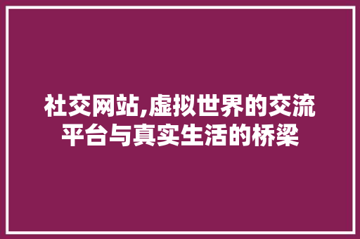社交网站,虚拟世界的交流平台与真实生活的桥梁 社交网站,虚拟世界的交流平台与真实生活的桥梁 百度SEO