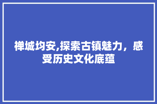 禅城均安,探索古镇魅力，感受历史文化底蕴 禅城均安,探索古镇魅力，感受历史文化底蕴 神马SEO
