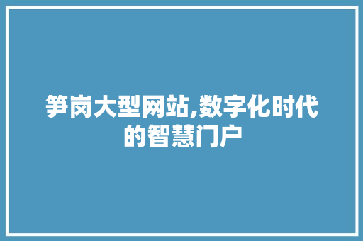 笋岗大型网站,数字化时代的智慧门户 笋岗大型网站,数字化时代的智慧门户 SEO关键词