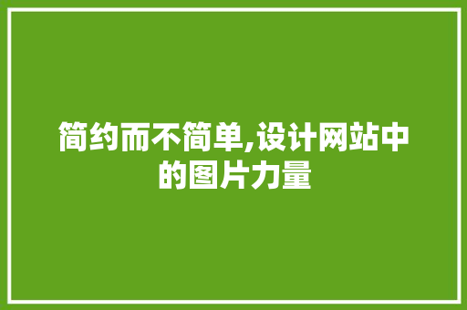 简约而不简单,设计网站中的图片力量