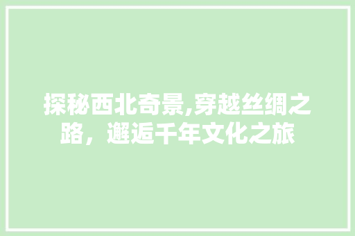探秘西北奇景,穿越丝绸之路，邂逅千年文化之旅 探秘西北奇景,穿越丝绸之路，邂逅千年文化之旅 百度SEO