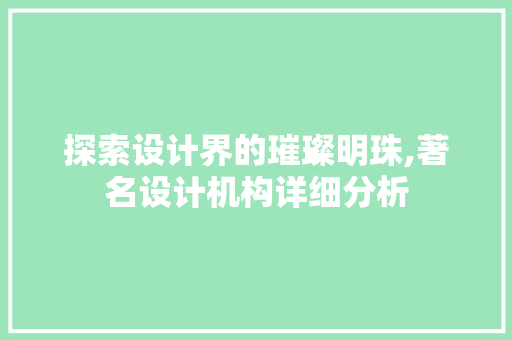 探索设计界的璀璨明珠,著名设计机构详细分析