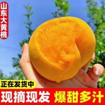 不软黄桃亩产效益怎么样,黄桃软了还可以吃吗。 SEO关键词 不软黄桃亩产效益怎么样,黄桃软了还可以吃吗。 不软黄桃亩产效益怎么样,黄桃软了还可以吃吗。 SEO关键词