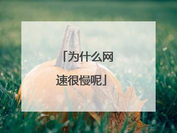 为什么上有些网站速度很慢,有些却很快,为什么有的网站慢。 网站建设公司 为什么上有些网站速度很慢,有些却很快,为什么有的网站慢。 为什么上有些网站速度很慢,有些却很快,为什么有的网站慢。 网站建设公司
