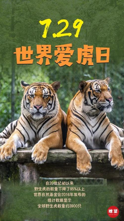 2099年后,世界会变成什么样,为什么喜欢老虎英语。 SEO关键词 2099年后,世界会变成什么样,为什么喜欢老虎英语。 2099年后,世界会变成什么样,为什么喜欢老虎英语。 SEO关键词
