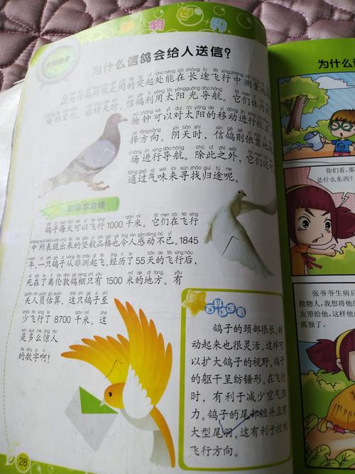 三年级孩子应该看哪些类型的书籍,十万个为什么金句。 三年级孩子应该看哪些类型的书籍,十万个为什么金句。 百度SEO