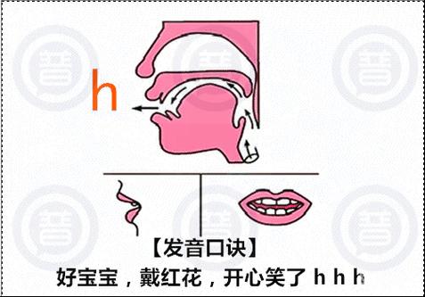 H是哪三个音,字母h为什么不发音。 搜狗SEO H是哪三个音,字母h为什么不发音。 H是哪三个音,字母h为什么不发音。 搜狗SEO