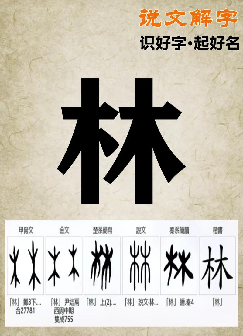 林扣儿旁读什么,为什么lin不能拼读拼音。 神马SEO 林扣儿旁读什么,为什么lin不能拼读拼音。 林扣儿旁读什么,为什么lin不能拼读拼音。 神马SEO