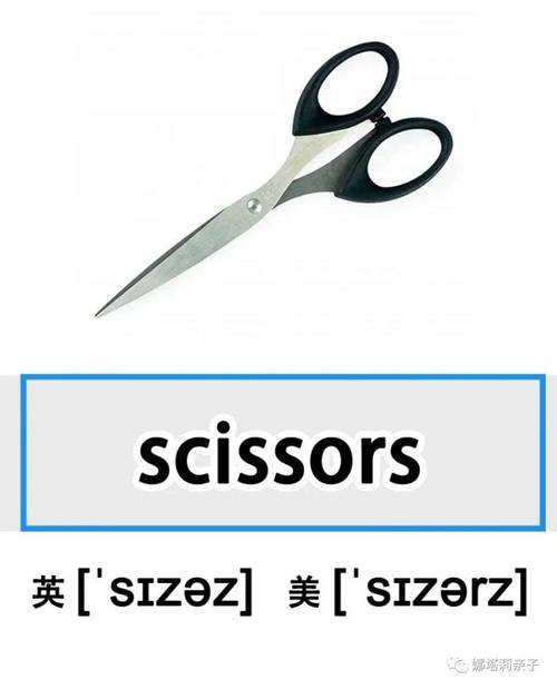 以sor结尾的英语单词,英语剪刀为什么用复数形式表示。 SEO关键词 以sor结尾的英语单词,英语剪刀为什么用复数形式表示。 以sor结尾的英语单词,英语剪刀为什么用复数形式表示。 SEO关键词
