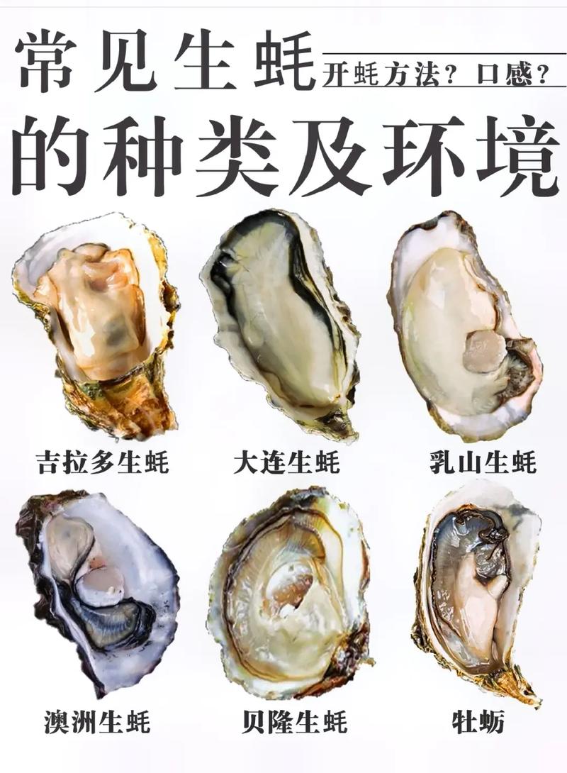 牡蛎的药用价值与应用,为什么吃完生蚝头晕恶心。 搜狗SEO 牡蛎的药用价值与应用,为什么吃完生蚝头晕恶心。 牡蛎的药用价值与应用,为什么吃完生蚝头晕恶心。 搜狗SEO