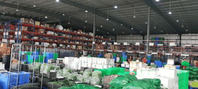 建材店,目前市场上哪一类货比较好卖,稳赚,做外卖为什么不赚钱。 神马SEO 建材店,目前市场上哪一类货比较好卖,稳赚,做外卖为什么不赚钱。 建材店,目前市场上哪一类货比较好卖,稳赚,做外卖为什么不赚钱。 神马SEO