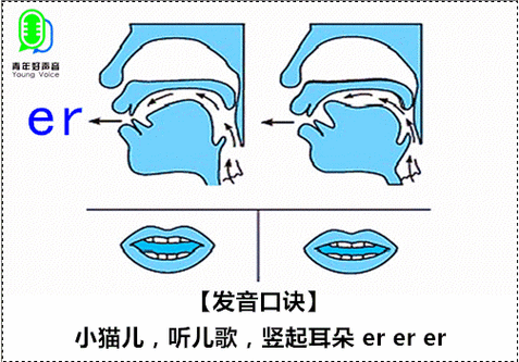 er属于翘舌还是整体认读音节,卷舌音er是不是单元音 为什么不发音。 必应SEO er属于翘舌还是整体认读音节,卷舌音er是不是单元音 为什么不发音。 er属于翘舌还是整体认读音节,卷舌音er是不是单元音 为什么不发音。 必应SEO