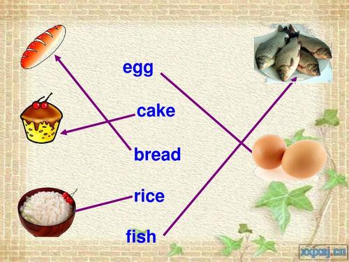 bread面包是什么名词,egg为什么后面有两个g。 神马SEO bread面包是什么名词,egg为什么后面有两个g。 bread面包是什么名词,egg为什么后面有两个g。 神马SEO